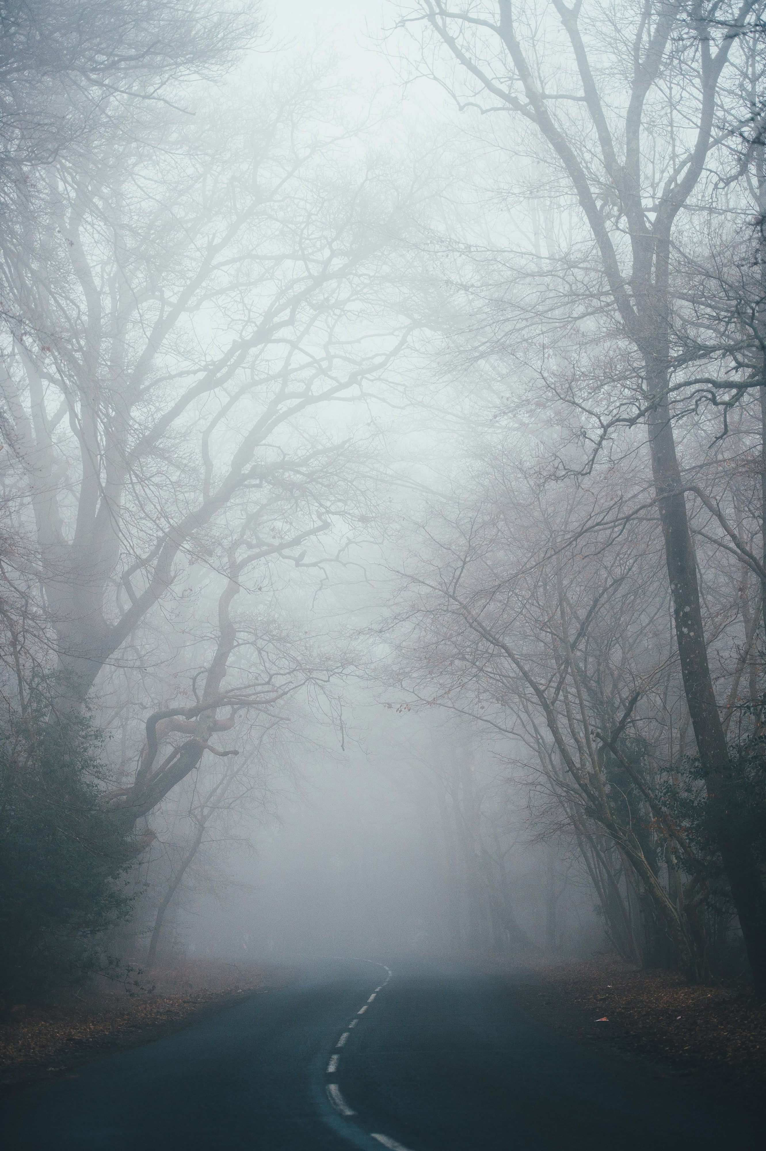 Punjab Fog by Ishaan Gill, Archival pigment print, 2024